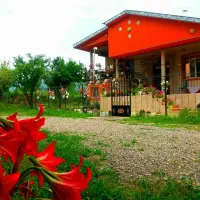ویلای اجاره ای روزانه درماسال