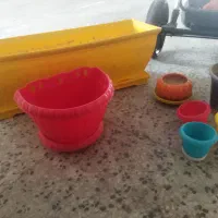 گلدان|گل و گیاه طبیعی|شیراز, آزادگان|دیوار