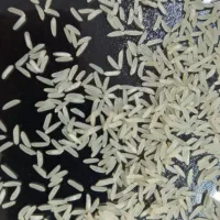 برنج اصل اصل سوزنی قیمت 235|عمدهفروشی|انبارآلوم, |دیوار