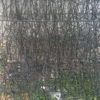 تولیدی شاخ گوزنی نرده حفاظ|خدمات پیشه و مهارت|بروجرد, |دیوار