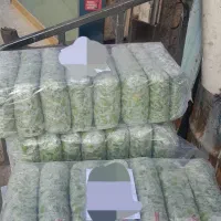 باقالی سبز منجمد