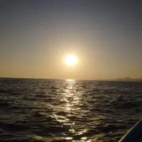 همکار یا شراکت املاک