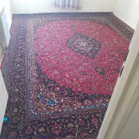 فرش ۱۲ متری|فرش|پرند, فاز ۶|دیوار