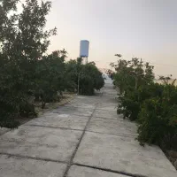باغ سیخ دارنگون احرار نرگس|فروش خانه و ویلا|شیراز, تندگویان|دیوار