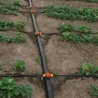 اجرای سیستمهای تحت  فشار قطره ای وبارانی