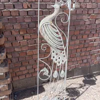 یک عدد فرفوژه طاووس ۱۶ کیلو