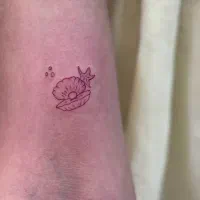 ارائه‌ی خدمات و آموزش تخصصی