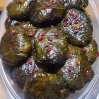 دلمه برگ مو نوبرانه فصل