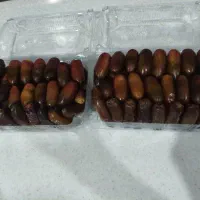 خرمای ربی تازه درجه یک سراوان