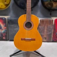 گیتار پارسی D6 ( آموزشگاه موسیقی سینا )