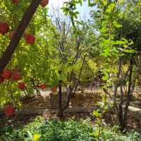 باغ درجزین 730متر|فروش خانه و ویلا|مهدی شهر, |دیوار