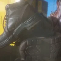 کفش|کیف، کفش، کمربند|دوگنبدان, |دیوار