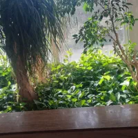 سرویس مدارس پذیرفته میشود