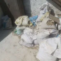 کود کفتری