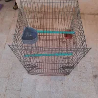 قفس پرندگان بزرگ جثه