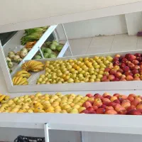 وسایل میوه فروشی|فروشگاه و مغازه|خمیر, |دیوار