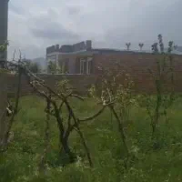 خانه روستایی|فروش خانه و ویلا|انزل, |دیوار