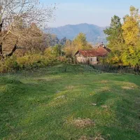 فروش زمین دو هزار متری با ویوی ۳۶۰