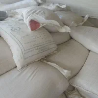 گندم بذری