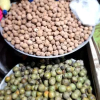 آلو خوانساری گردو سبز گردو خشک پارساله بادام|خوردنی و آشامیدنی|قم, جمکران|دیوار