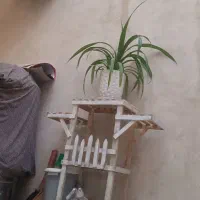 استند پایه گل