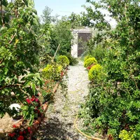 باغ-و-باغچه