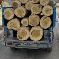 چوب