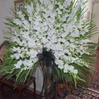 سبد گل