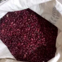 لوبیا قرمز|عمدهفروشی|بیرانوند, |دیوار