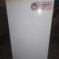 یخچال مغازه ای ، ال جی|یخچال و فریزر|رشت, لاکان شهر|دیوار