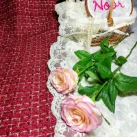 پارچه های شانل لمه دار و پافری و مخمل پشت تدی