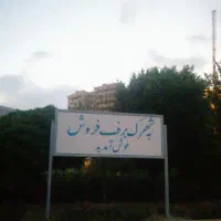 پیش فروش آپارتمان در برف فروشان لاکچری‌ترین پروژه