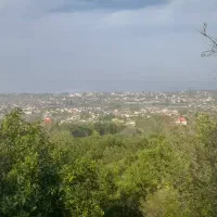 باغ پرتقال زیبا بام قاسم اباد|فروش زمین و ملک کلنگی|چابکسر, |دیوار