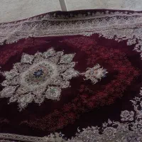 فرش 9 متری 500 شونه خواب بلند درجه یک|فرش|شیراز, شاپورجان|دیوار