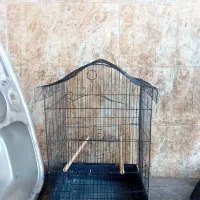 قفس پرنده