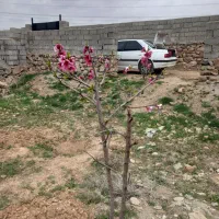 باغچه-285-متر-در-روستای-فشند-هشتگرد