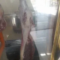 سلام کله پاچه تمیز پاک شده بهداشتی دانه ۴۳۰