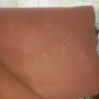 موکت سالم