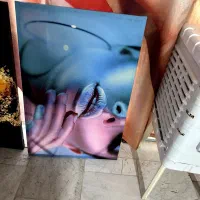 لوازم ارایشگاه|مبلمان خانگی و میز عسلی|سلمانشهر, |دیوار