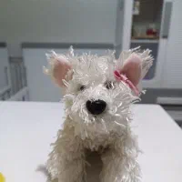 فروش تعدادی عروسک خارجی نو