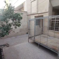 قفس بزرگ مرغ و خروس و کبوتر