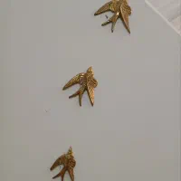 سه عدد پرستو برونز