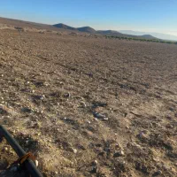 زمین مناسب کشاورزی و باغ