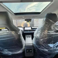 فونیکس ev|خودرو سواری و وانت|شیراز, زند|دیوار