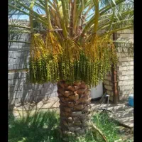 خوشه بندی