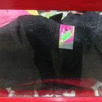 سوتین 59ت بمدت یک هفته|لباس|شیروان (خراسان), |دیوار