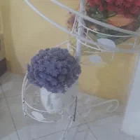 گلدان و جاگلدان