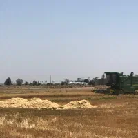 ۴۰ تن کاه اماده
