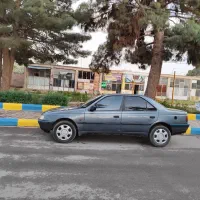 405 دوگانه کارخانه دلفینی تربت جام