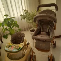 کالسکه،روروئک،کریر درحدنو